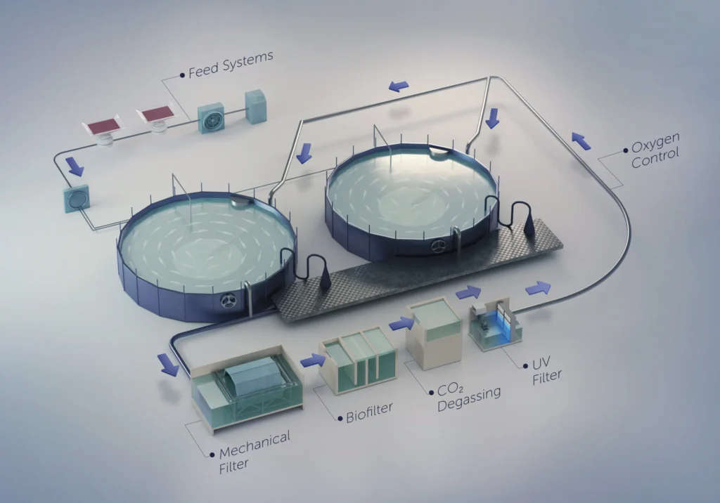 Understanding RAS: The Key to High-Yield and Eco-Friendly Fish Farming